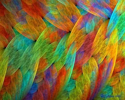Colourful feathers