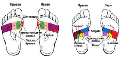 Правая стопа точки отвечающие за органы