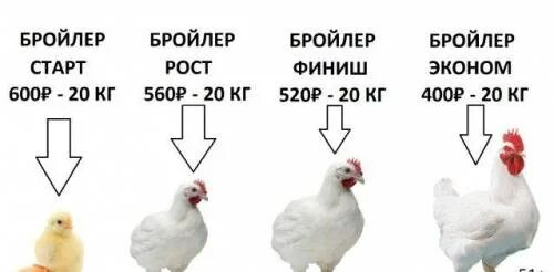 Сколько стартом кормить. Таблица кормления бройлеров старт рост финиш. Комбикорм для бройлеров старт рост. Таблица корма для бройлеров старт рост финиш. Корм старт рост финиш для бройлеров.