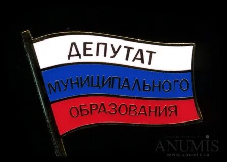 Муниципальный депутат предложил