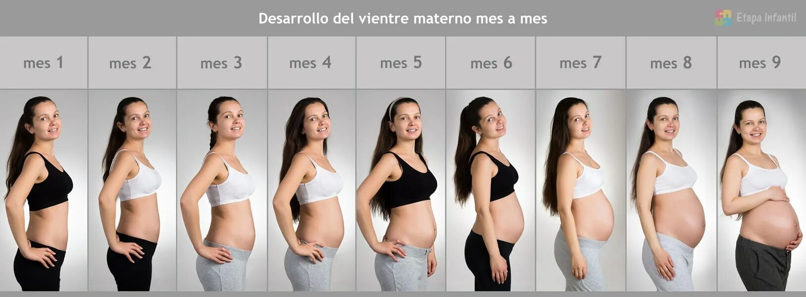 Живот у беременных по месяцам. Живот беременной женщины по неделям. Животики беременных по месяцам. Живот беременной по неделям у полных.