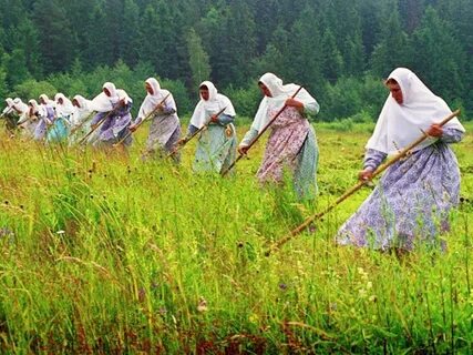 Истинный труд