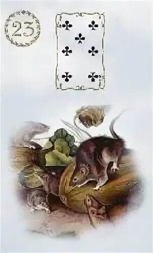 Крысы ленорман