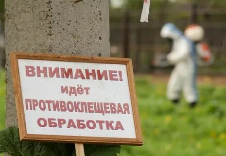 Территория обработана