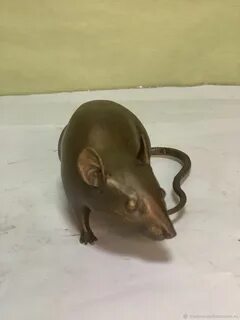 Бамбуковая мышь