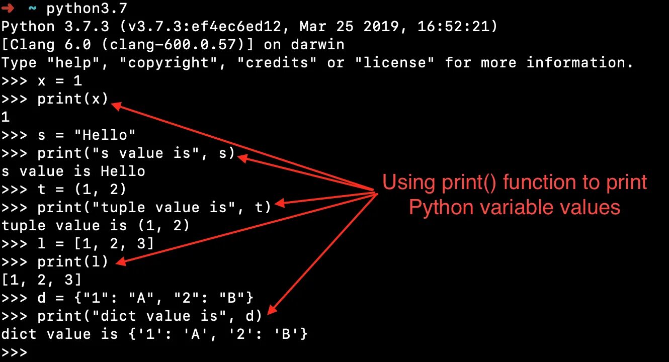 D values python. Пайтон print. end в питоне. pprint python. функция print в питоне.