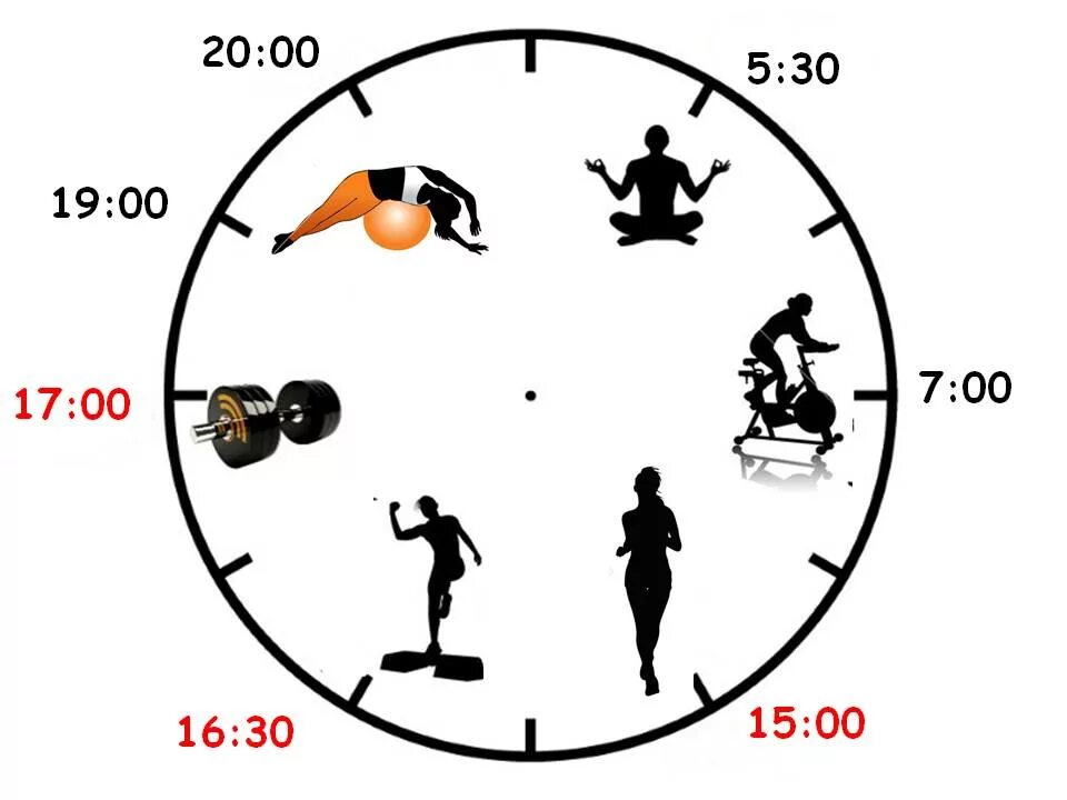 Physical time. Лучшее время для тренировок. В какое время заниматься спортом. Занятия спортом и режим дня. В какое время суток лучше заниматься спортом.