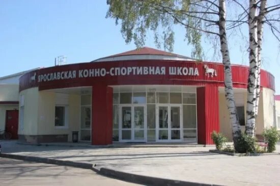 Сайты спортивных школ ярославль. Сайты спортивных школ ярославль. Спортинвентарь ярославль. Му сш 13 футбол ярославль. Конно-спортивная школа ярославль.