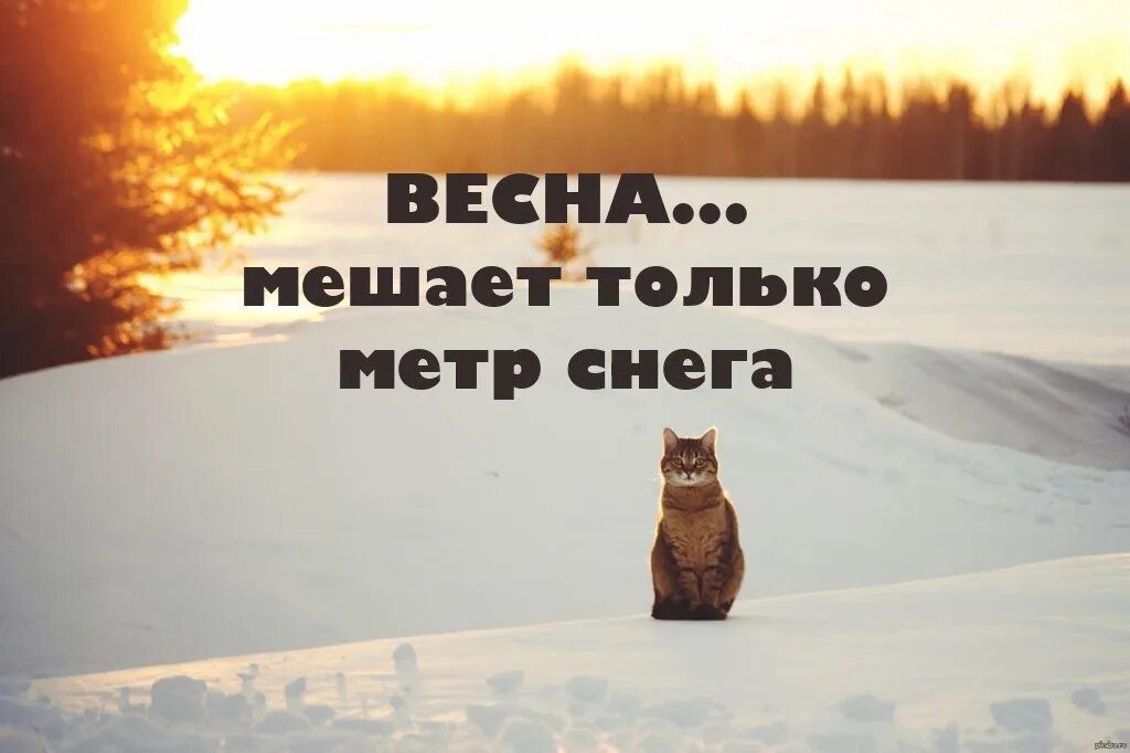 До весны неделя нету терпежа. До весны неделя нету терпежа