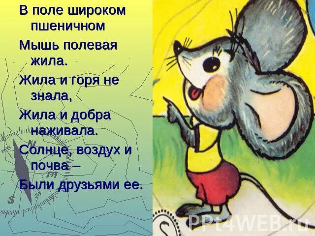 Мышь предложения. Предложение про мышку. Предложение мыши в поле. Стих про мышь. Стих про мышку.