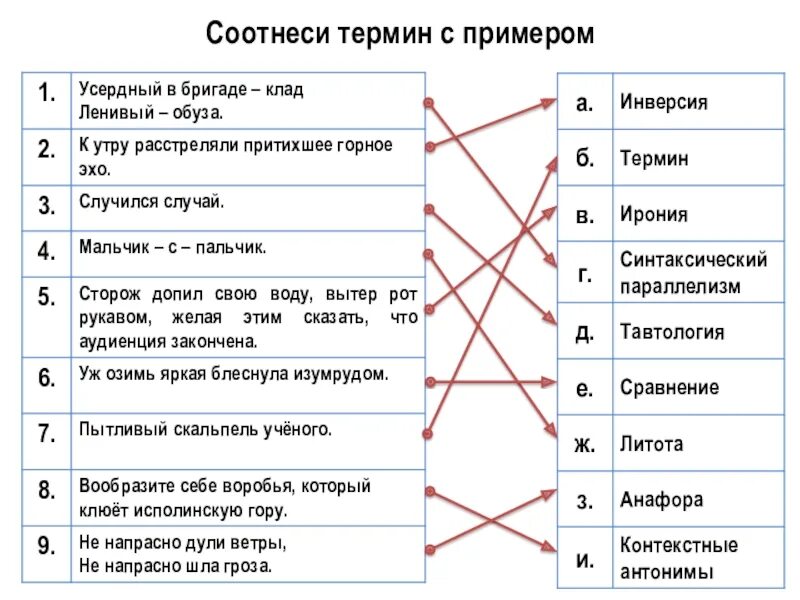 Соотнесите виды