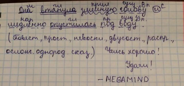 Спустившимся разбор. Синтаксический разбор медленно. Синтаксический разбор водой. Водная синтаксиче разбор. Синтаксический разбор слой под воду.