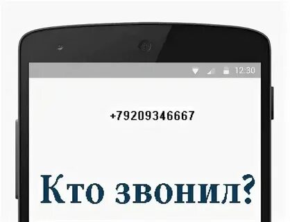 78314228041