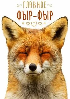 Главный лис