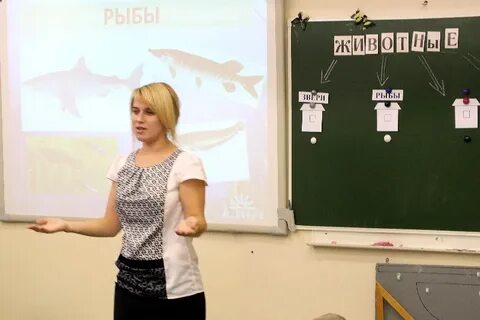Школа 2 ивантеевка