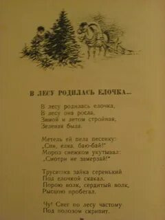 Современная песня в лесу родилась