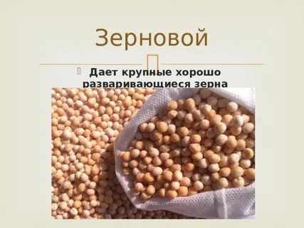 Технология гороха