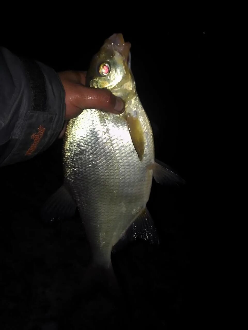 Ночная рыбалка. Ночная рыбалка рыба. Рыбалка на леща. Ночная зимняя рыбалка. Ловить рыбу ночью