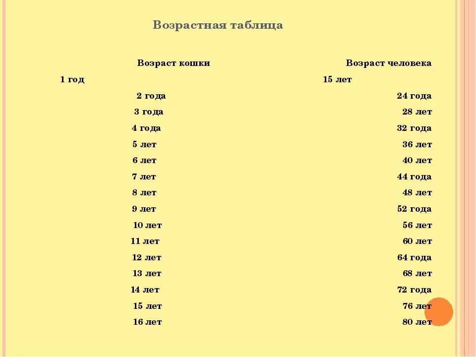 Возраст кошек в переводе на человеческий. Возраст джунгарского хомяка по человеческим меркам. Таблица возраста джунгарских хомяков. Возраст хомяков по человеческим меркам таблица. Таблица возраста джунгарских хомяков по человеческим меркам.