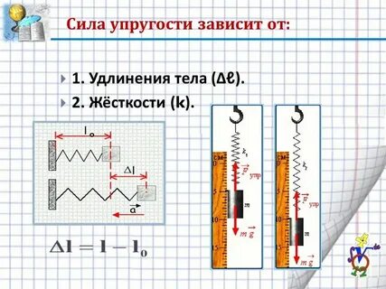 Сила упругости практическое значение