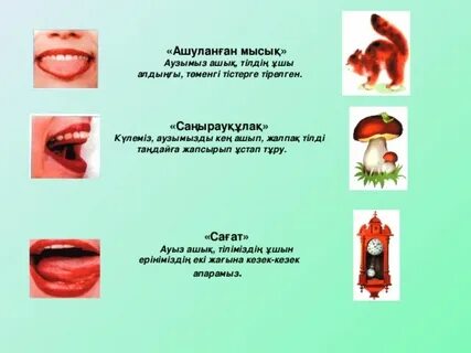 Әйел үстемдігі орысша порно