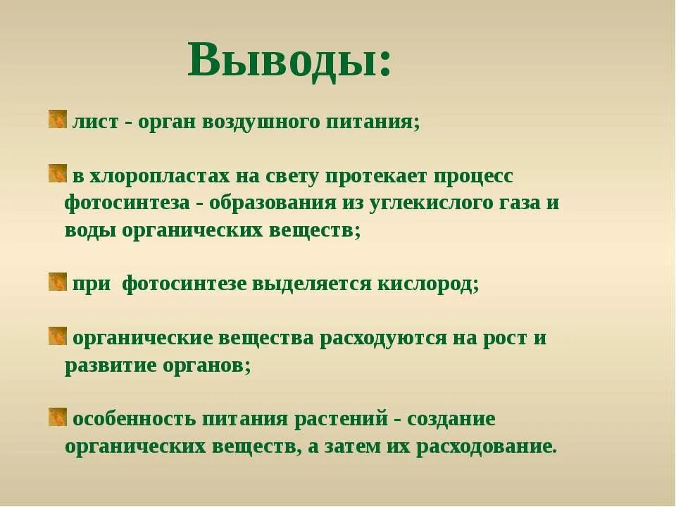 Как называется процесс воздушного питания. Лист орган воздушного питания. воздушное питание растений. процесс воздушного питания растений. воздушное питание растений фотосинтез.