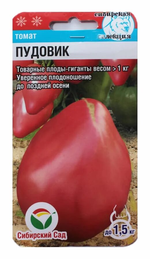 Томат пудовичок отзывы фото. Томат Пудовик Сибирский сад. Семена томат Пудовик. Томат Пудовик 20шт Сибирский сад (ц.п.). Севрюга 20шт томат (Сиб сад).