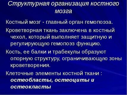 Какая ткань кроветворная