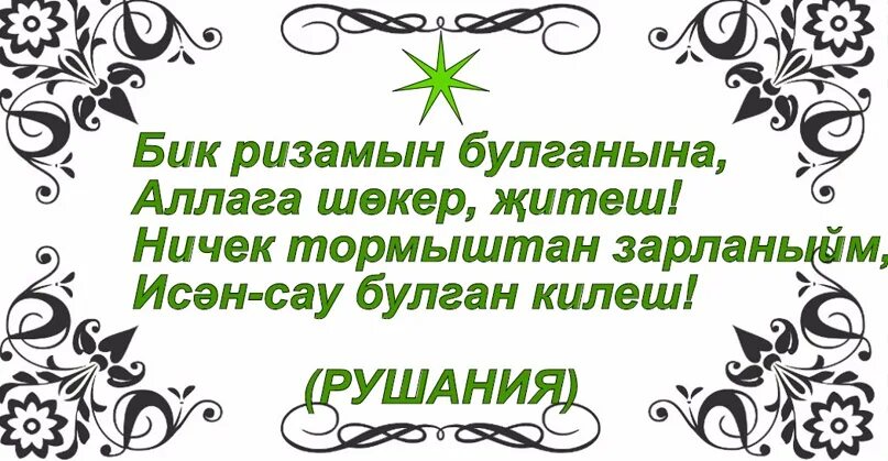 Аллага шекер. Аллага шекер. Аллага шекер. Аллага шекер. Аллага шекер.