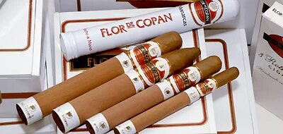 Flor de copan. Flor de copan belicoso"20 сигары мт. Сигара flor de oliva churchill. Томаты кубинская сигара. Сигары робусто.