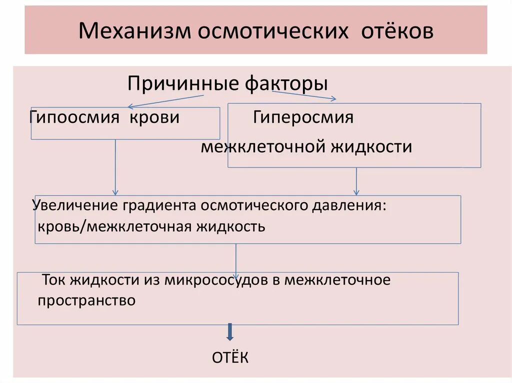 Основной фактор в патогенезе воспалительного отека. Механизмы развития отеков патофизиология. патогенез отеков патофизиология. осмотический отек патогенез. осмотический механизм отека.