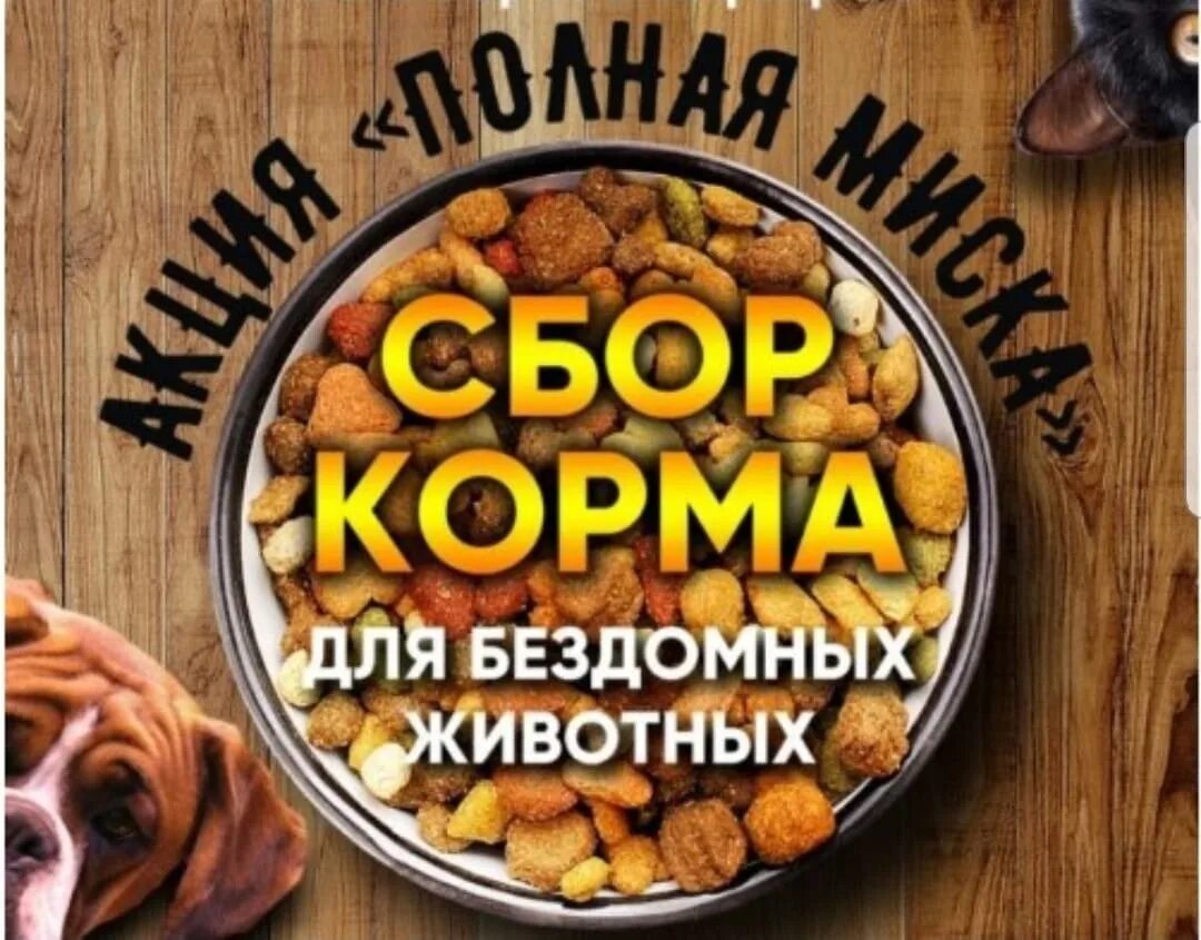 Корм для бездомных животных. Сбор кормов для животных. сбор корма для животных акция. сбор кормов для приюта.