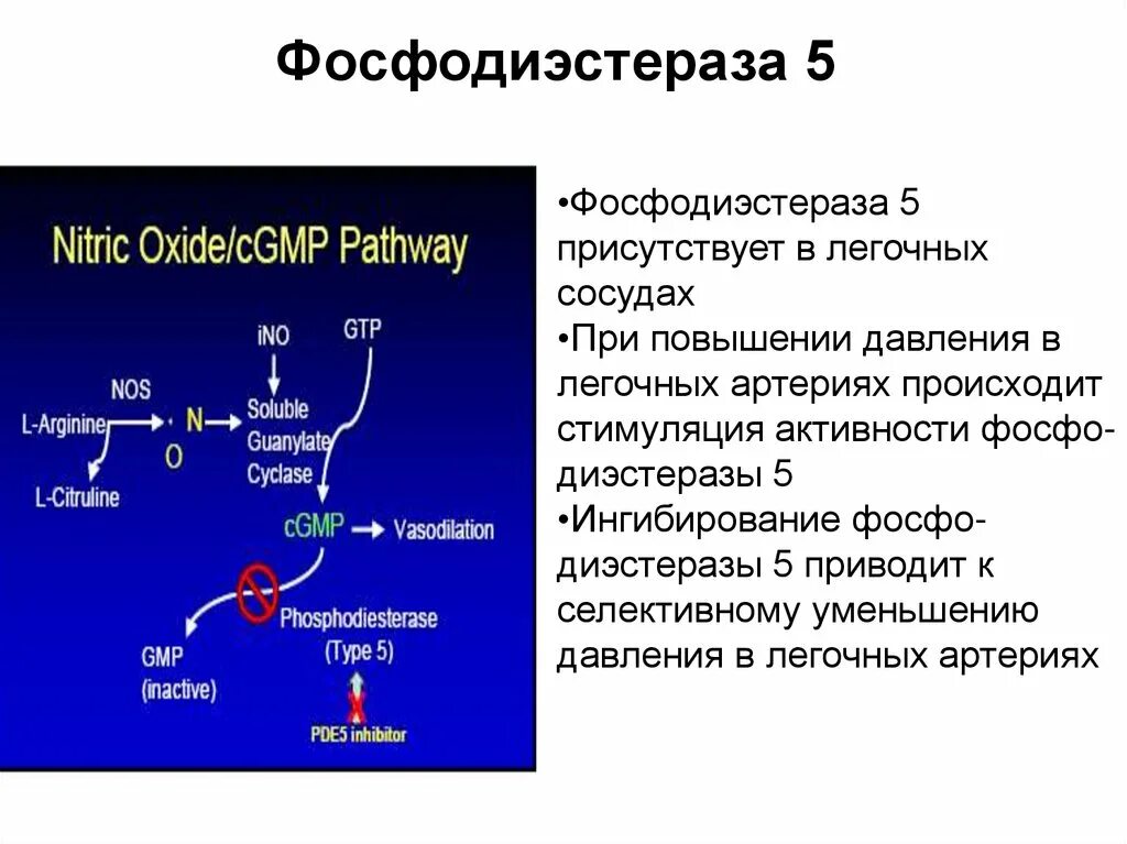 Ингибиторы в глаза