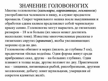 Головоногие моллюски в природе и жизни человека