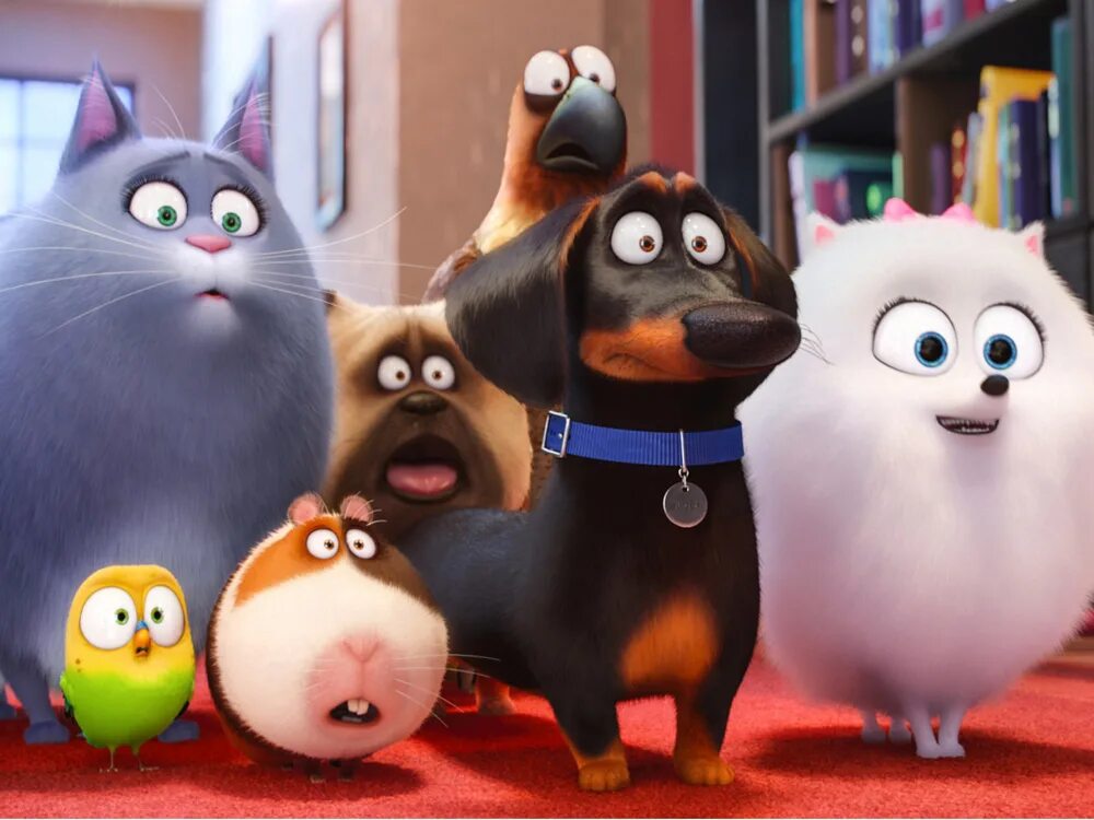 Песня тайная жизнь. Тайная жизнь домашних животных 2. © the Secret Life of Pets Тайная жизнь домашних животных (2016). Тайная жизнь домашних животных 2 Бадди.