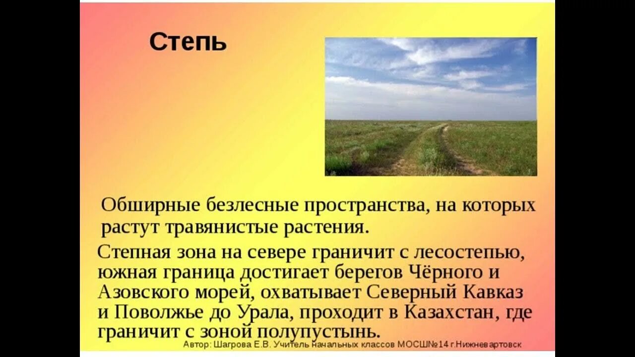 Степь россии характеристика природной зоны. Характеристика степи. Степная зона презентация. Доклад про степь. Степь природная зона.