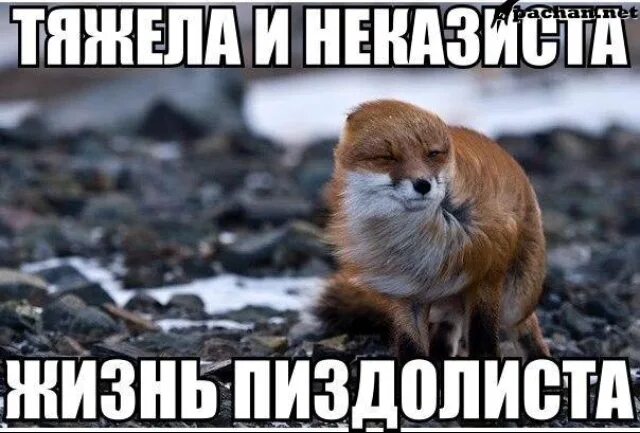 крутые комплименты. пиздолис жаждет служить. смешные названия в телефонной книге. анекдоты про католических священников. каблук прикол.