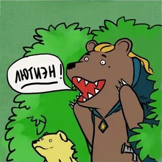 Медведи фандом