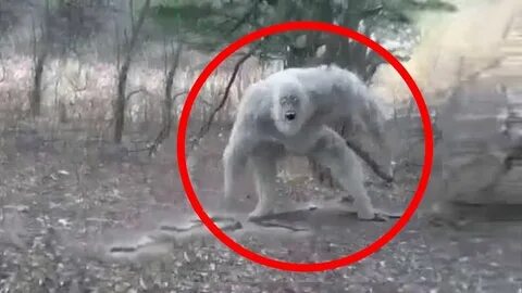 Раскрыть в самом существе