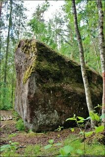 Велес ленинградская область
