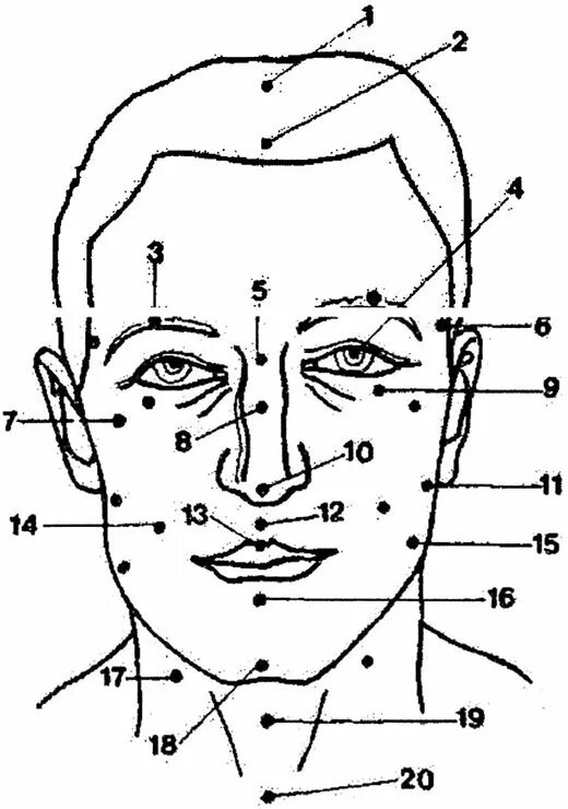 Болевые точки на теле человека для массажа. Массаж спины схема болевые точки. Меридианы и точки акупунктуры человека. Акупунктура меридианы китайская медицина. Жизненно важные точки на теле.