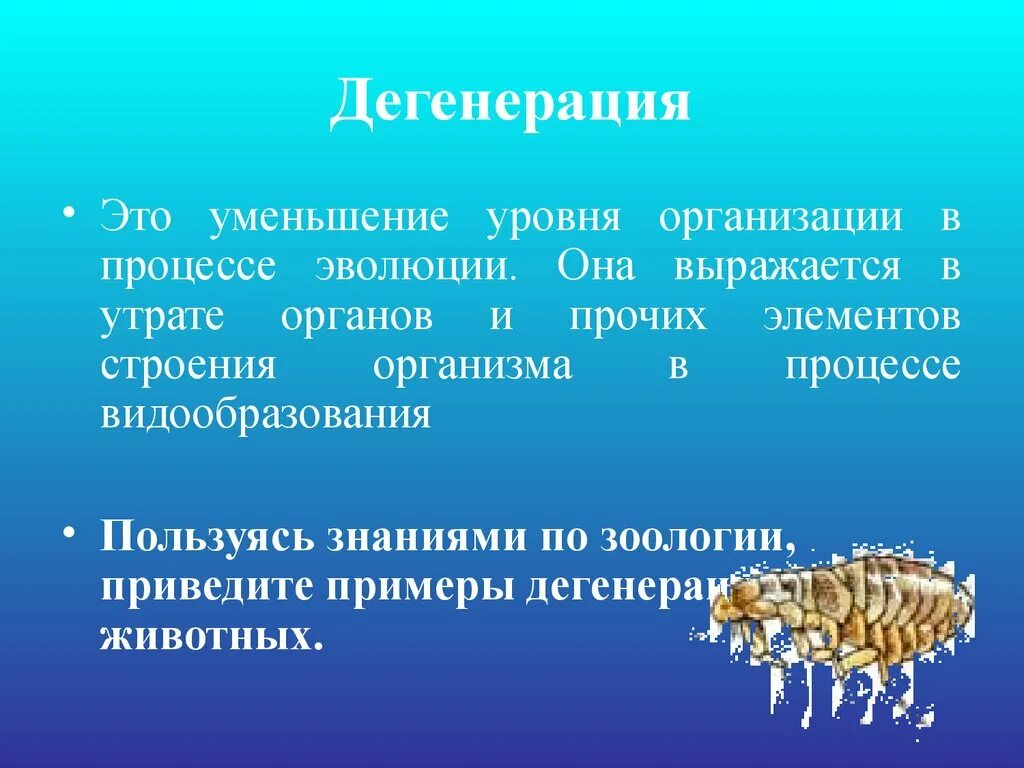 Дегенерация и регресс. Морфологический регресс. общая дегенерация примеры. дегенерация в эволюции биология. причины общей дегенерации.