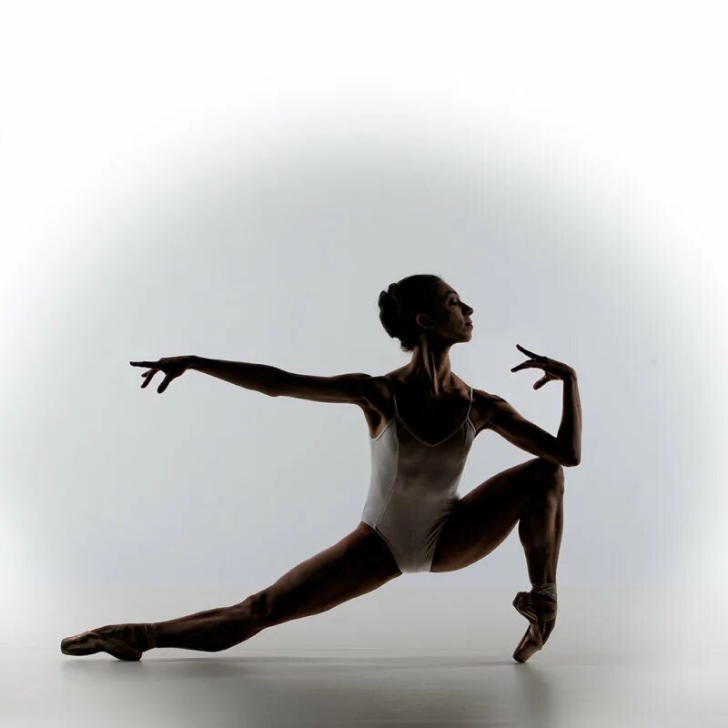 Пина бауш хореография. Календарь пирелли 2019. Красота движения. Танцовщица. Красивые танцоры.