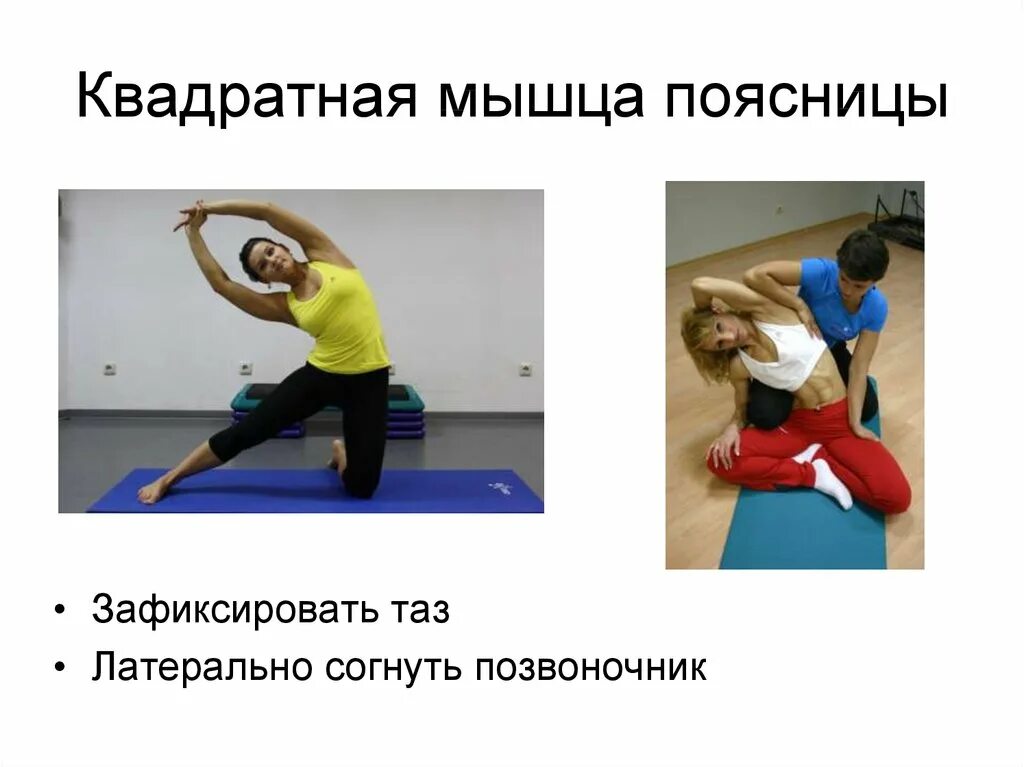 Пашчимоттанасана анатомия. Квадратная мышца поясницы упражнения. Квадратная поясничная мышца растяжка. Квадратная поясничная мышца упражнения. Упражнения на растягивания квадратной мышцы поясницы.