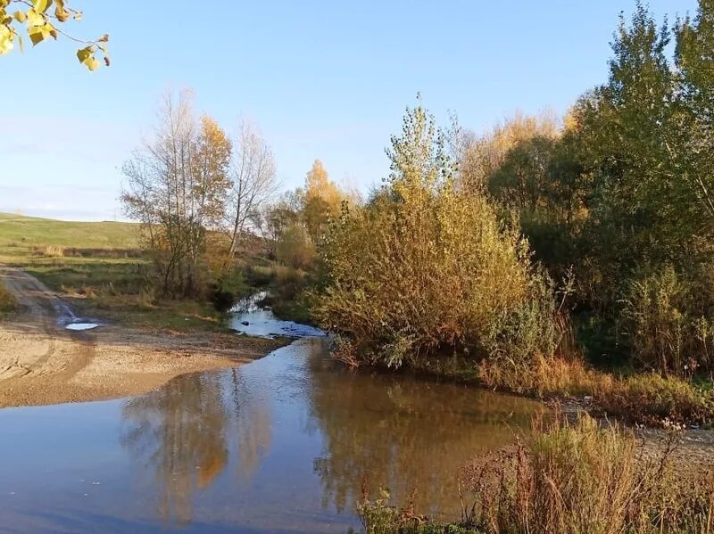 Успенка Алтайский край. Село вторая Каменка Локтевский район Алтайский край. Покровка Локтевский район Алтайский край. Устьянка Алтайский край Локтевский район. Погода п масальский локтевский район