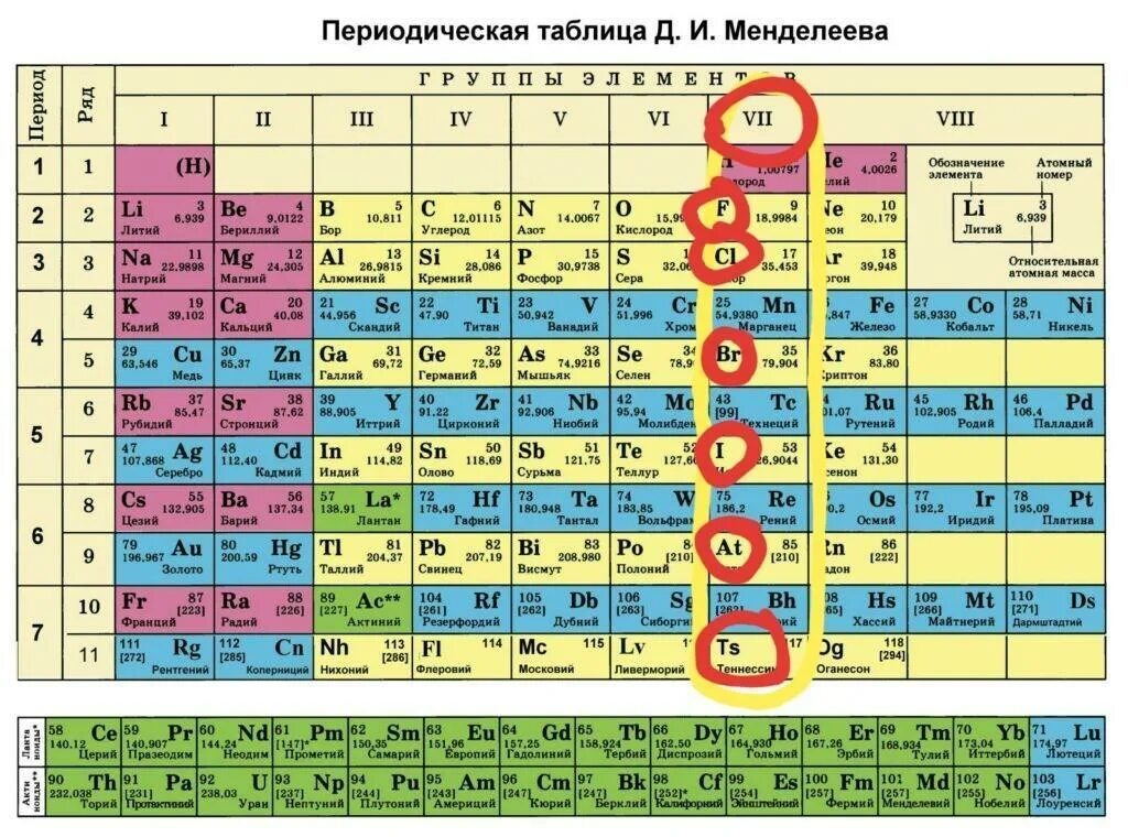 В ряду элементов cl br i. В ряду элементов cl br i