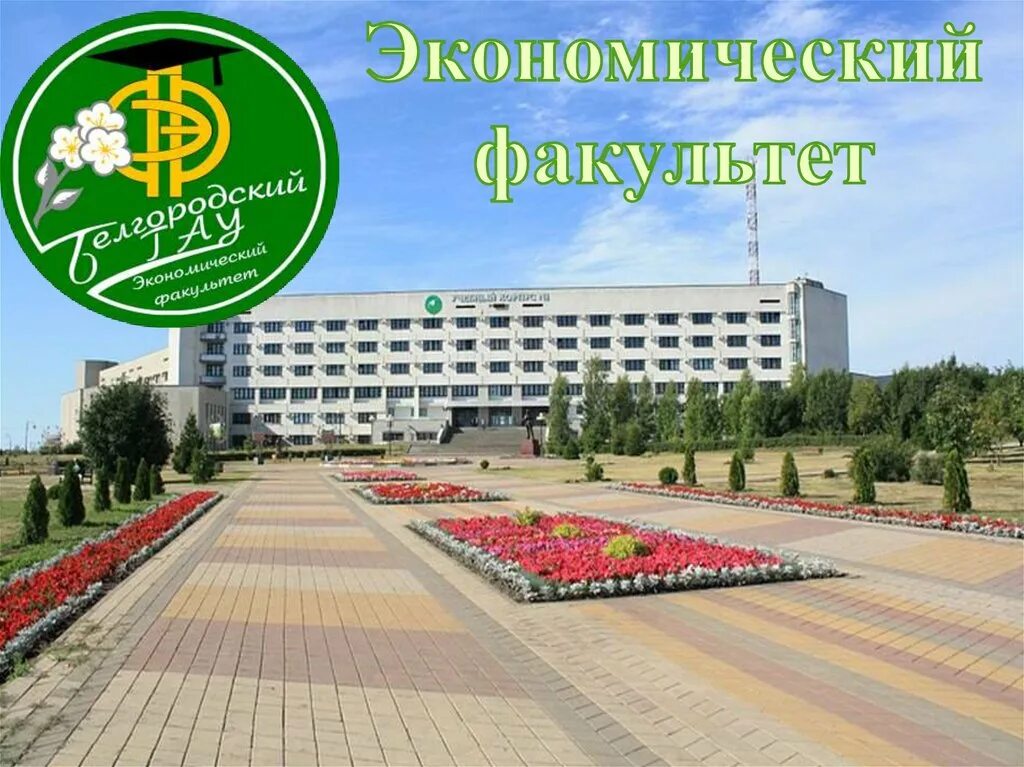 социально теологический факультет белгу здание. стелла возле университета. белгород факультеты. белгу старый корпус белгород. белгород факультеты.