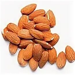 Almond wood. Миндаль 1,5. Сладкий миндаль. Миндальная 14. Миндаль минблизь.
