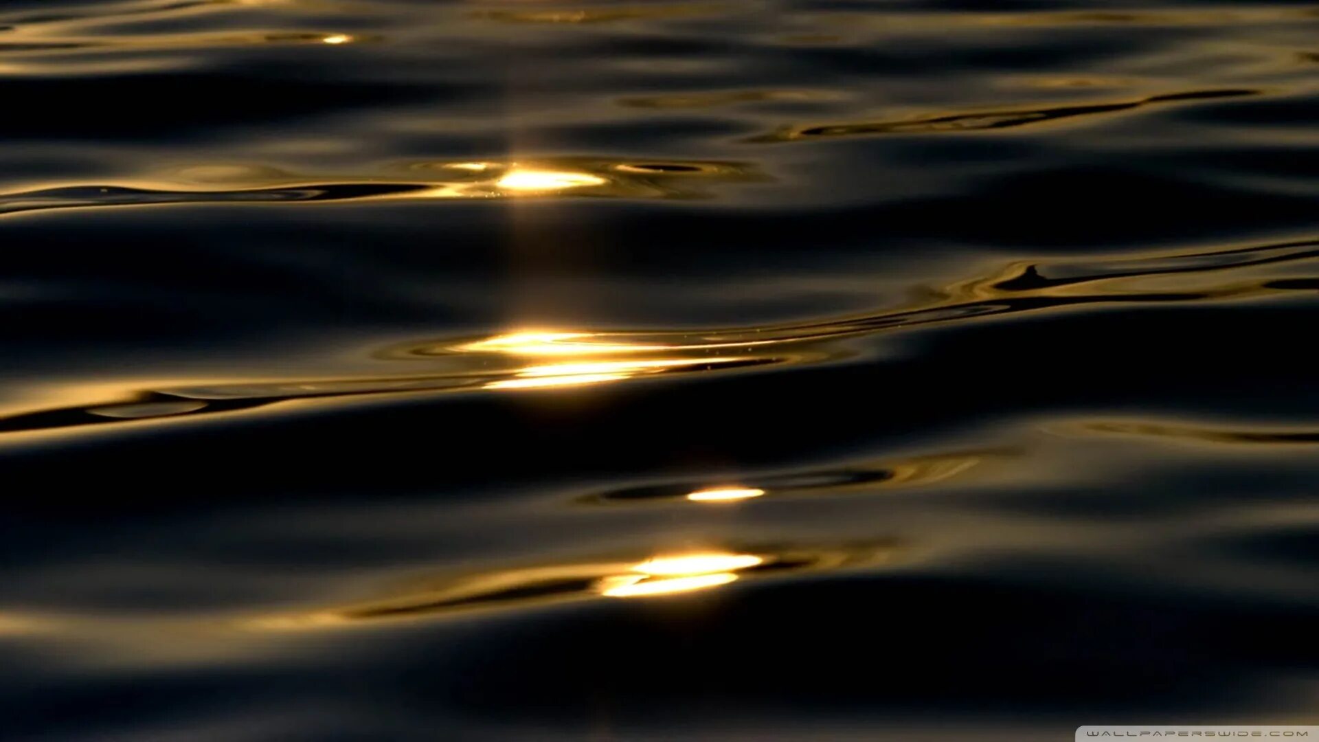 Free Images : water, light, sunset, sunlight, morning, texture, leaf, wave, pool