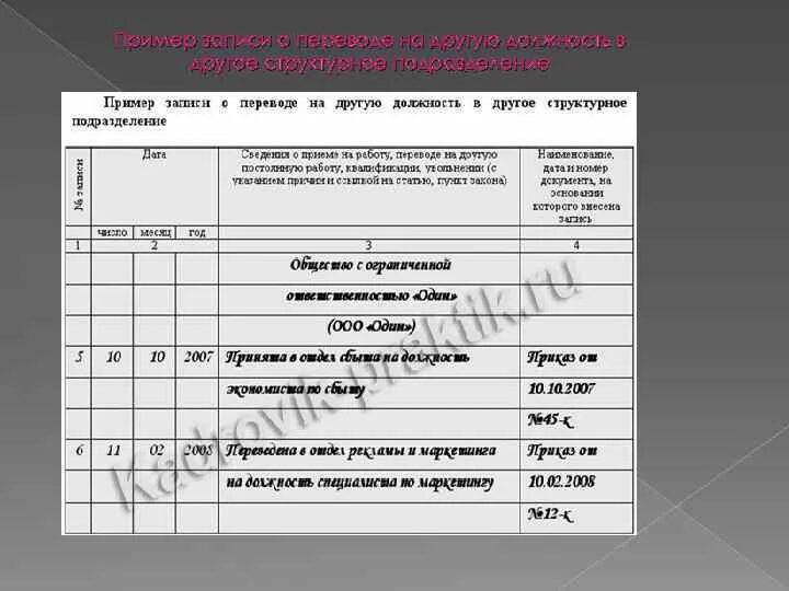 Подразделение запись подразделение. Подразделение запись подразделение